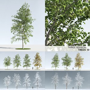 3D model trees 10