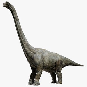 Brachiosaurus Rigged 3D