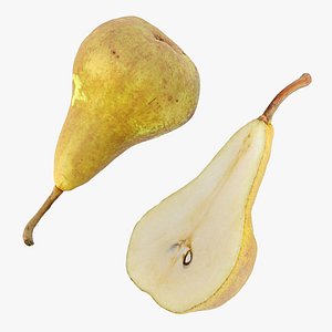 Pear Bosc 3D model