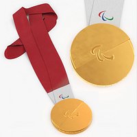 Official Paralympic Winner Gold Medal Red Strap