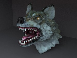 Wolf head