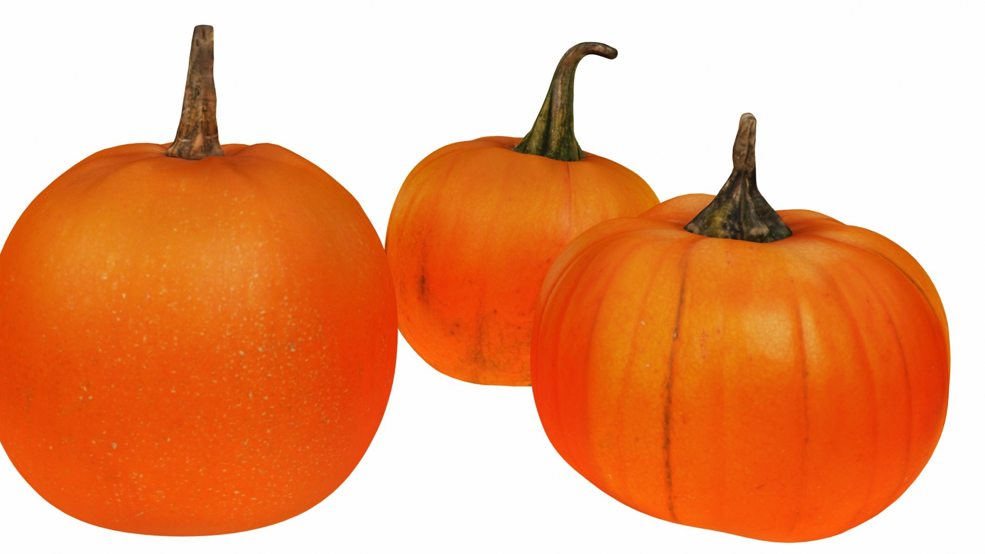 3D pumpkin fruit https://p.turbosquid.com/ts-thumb/yI/YKcGH7/vC2kVhY9/0pumpkin8/jpg/1588350465/1920x1080/fit_q87/b5115260dddf98a867d92469b1ef1e92e478dd9b/0pumpkin8.jpg