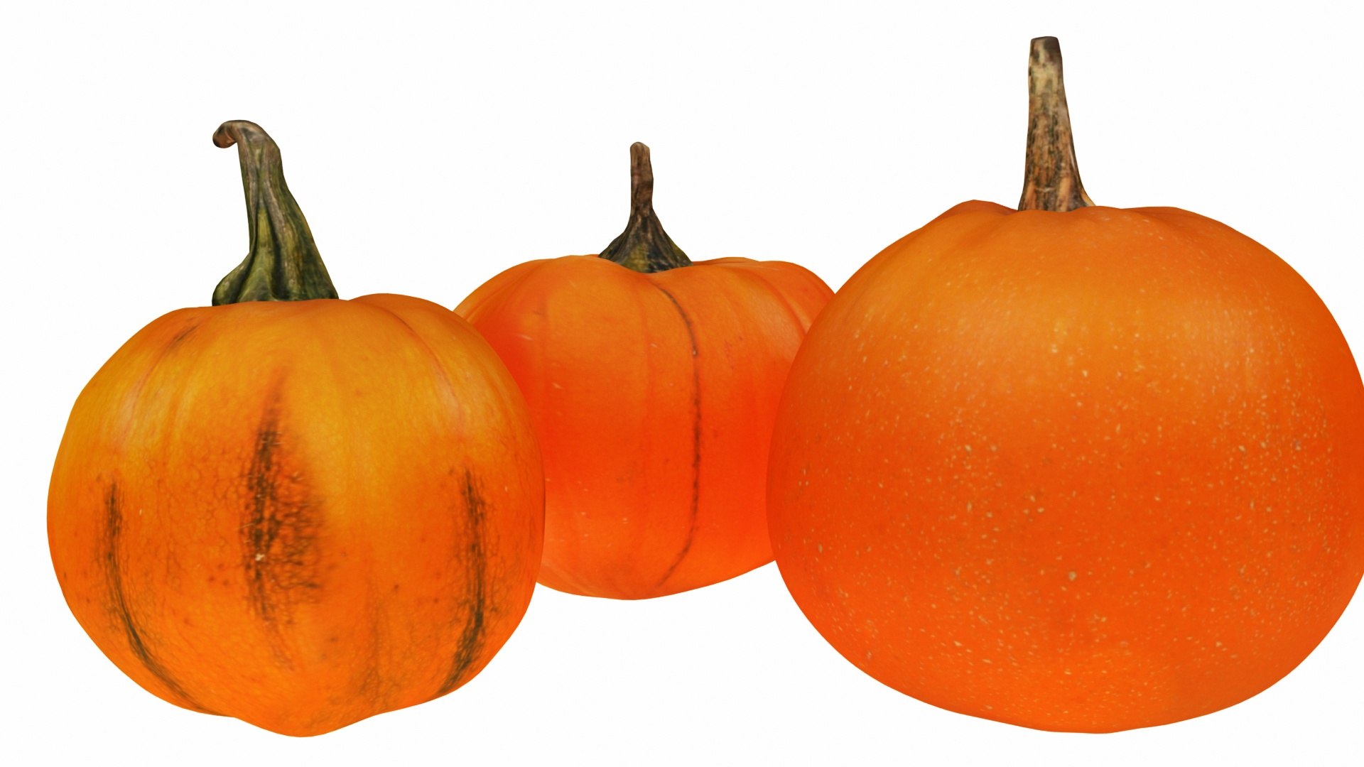 3D pumpkin fruit https://p.turbosquid.com/ts-thumb/yI/YKcGH7/veLgA1l7/0pumpkin7/jpg/1588350465/1920x1080/fit_q87/3bfb8e3f1946419a285054393c38793ac839f162/0pumpkin7.jpg