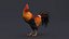 rooster rigged 3D model