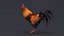 rooster rigged 3D model