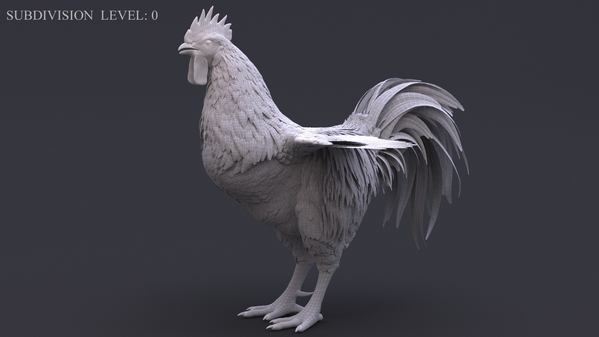 rooster rigged 3D model https://p.turbosquid.com/ts-thumb/yI/bHTcBM/JL/wire1s0/jpg/1613043395/1920x1080/fit_q87/124f0b398cc7af485fc08764fb5fd1204a7234f7/wire1s0.jpg