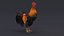 rooster rigged 3D model
