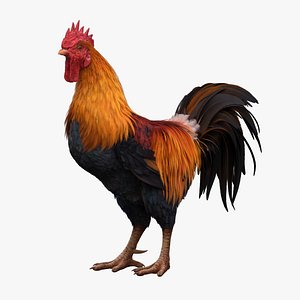 rooster rigged 3D model