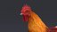 rooster rigged 3D model