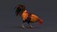 rooster rigged 3D model
