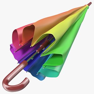 Classic Folded Umbrella