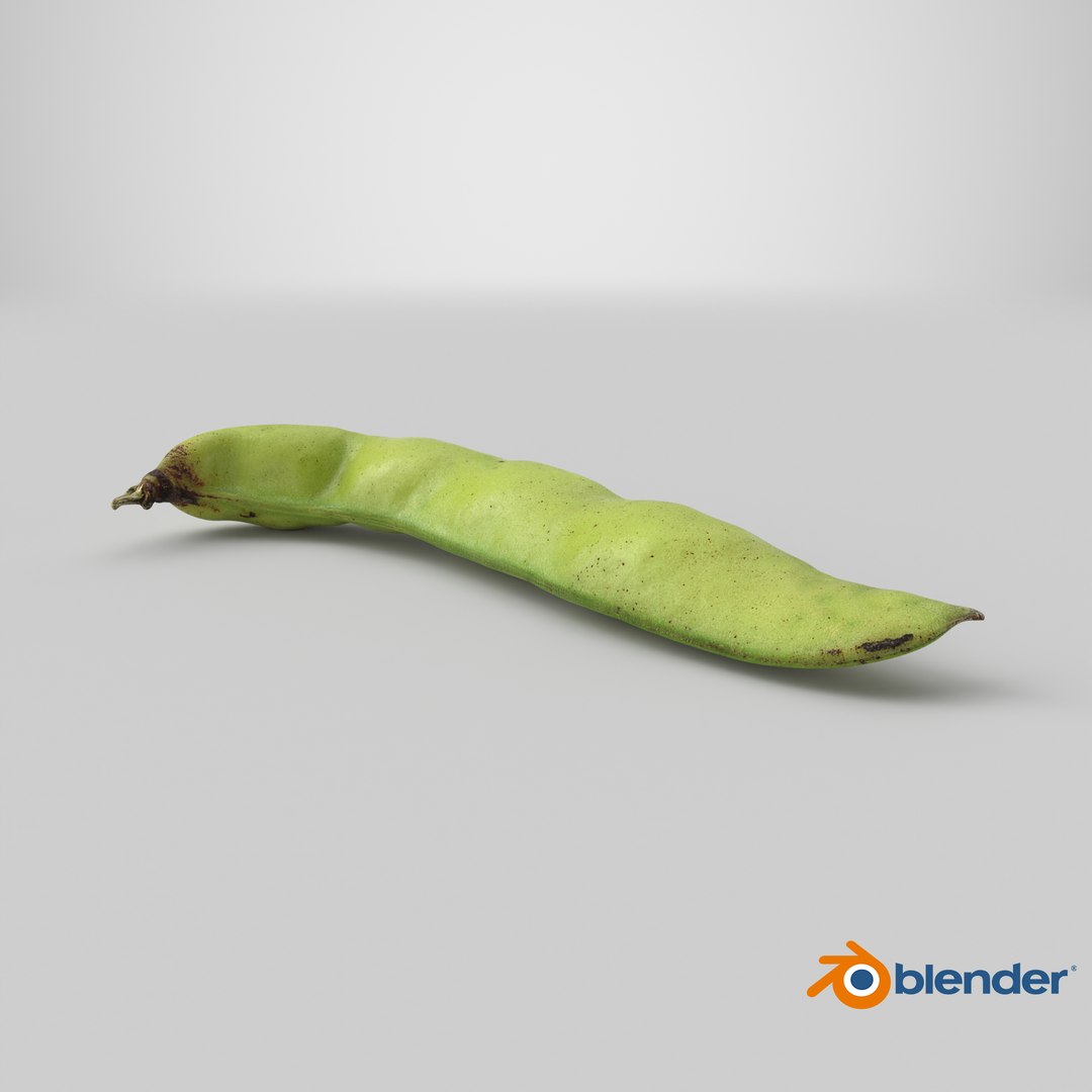 3D Broad Bean Pod 02 - 3D Scanned https://p.turbosquid.com/ts-thumb/yI/wL1OoU/30/stemcell_blender_cycles_render/png/1782793920/1920x1080/fit_q87/41a18d787a5e7dc7913cd0f61f4cf1a3f9e1e486/stemcell_blender_cycles_render.jpg