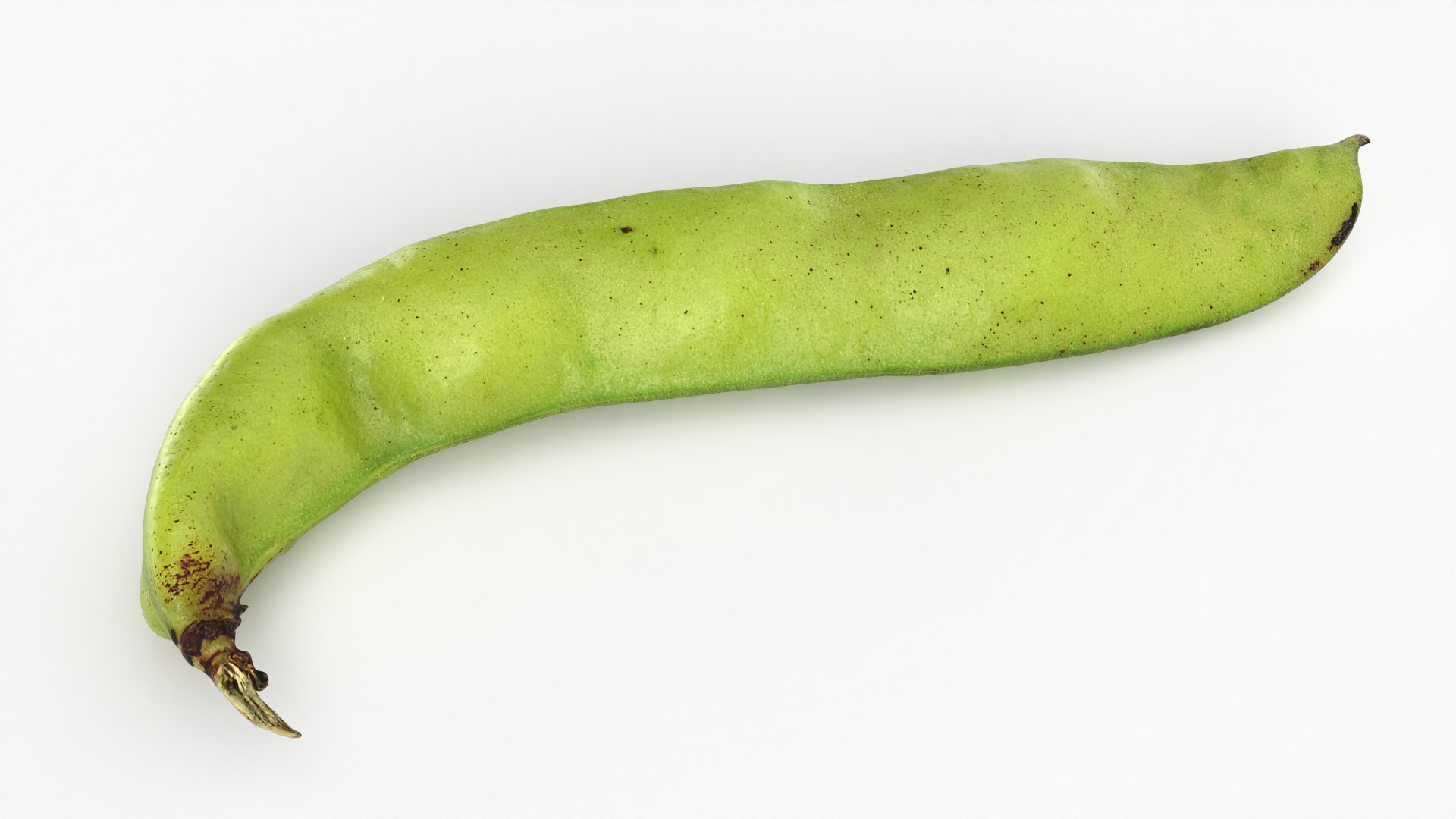 3D Broad Bean Pod 02 - 3D Scanned https://p.turbosquid.com/ts-thumb/yI/wL1OoU/6y/broadbean02_0002/png/1781204769/1920x1080/fit_q87/a5093243187793418e581c5fefaefd98e5480f65/broadbean02_0002.jpg