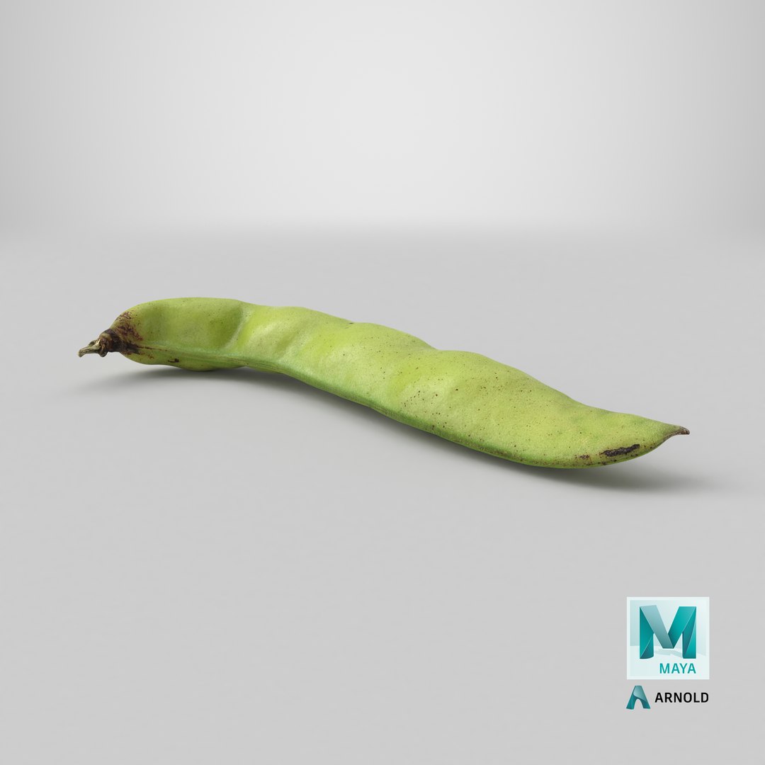 3D Broad Bean Pod 02 - 3D Scanned https://p.turbosquid.com/ts-thumb/yI/wL1OoU/Bp/stemcell_maya_arnold_render/png/1782793923/1920x1080/fit_q87/be7c4c66a362235023a8820e85a508b052303b47/stemcell_maya_arnold_render.jpg