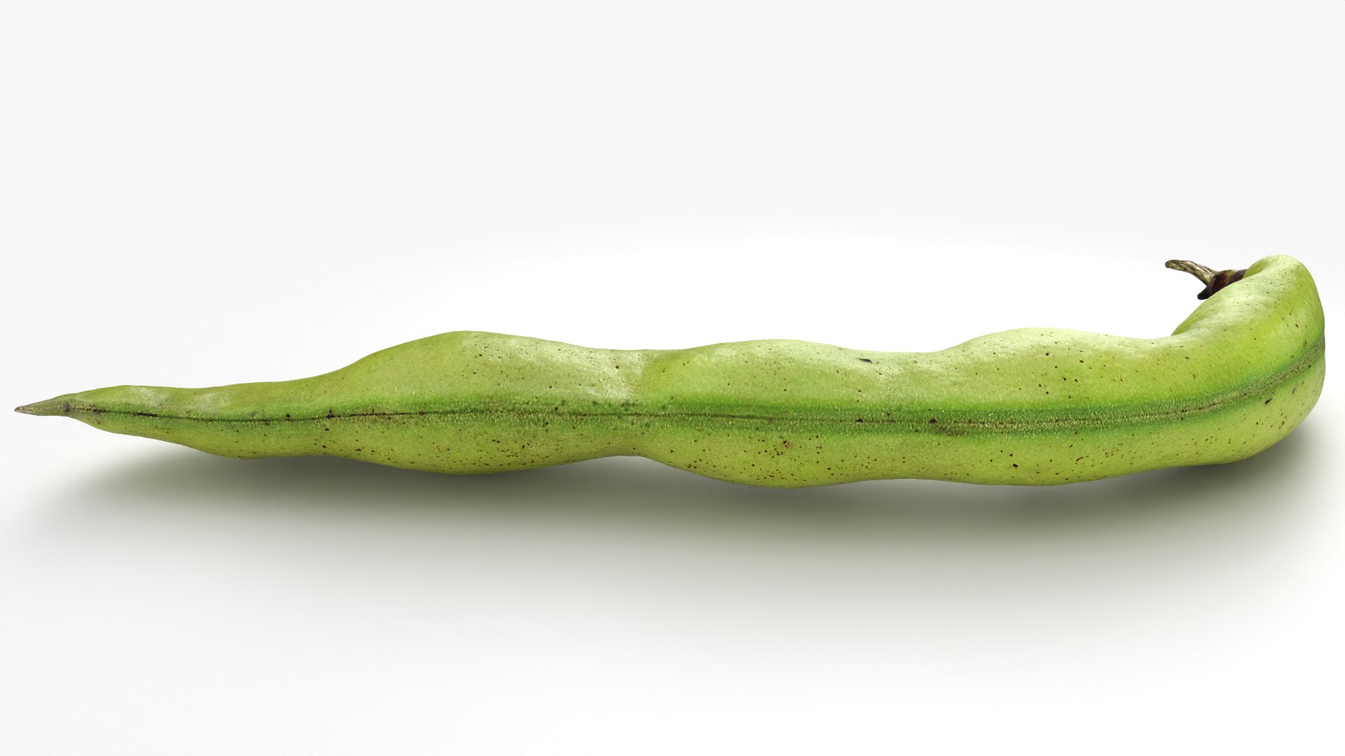 3D Broad Bean Pod 02 - 3D Scanned https://p.turbosquid.com/ts-thumb/yI/wL1OoU/Kk/broadbean02_0008/png/1781204779/1920x1080/fit_q87/f1ef8f9321234699f52ccfe3b55b54901e339c2d/broadbean02_0008.jpg
