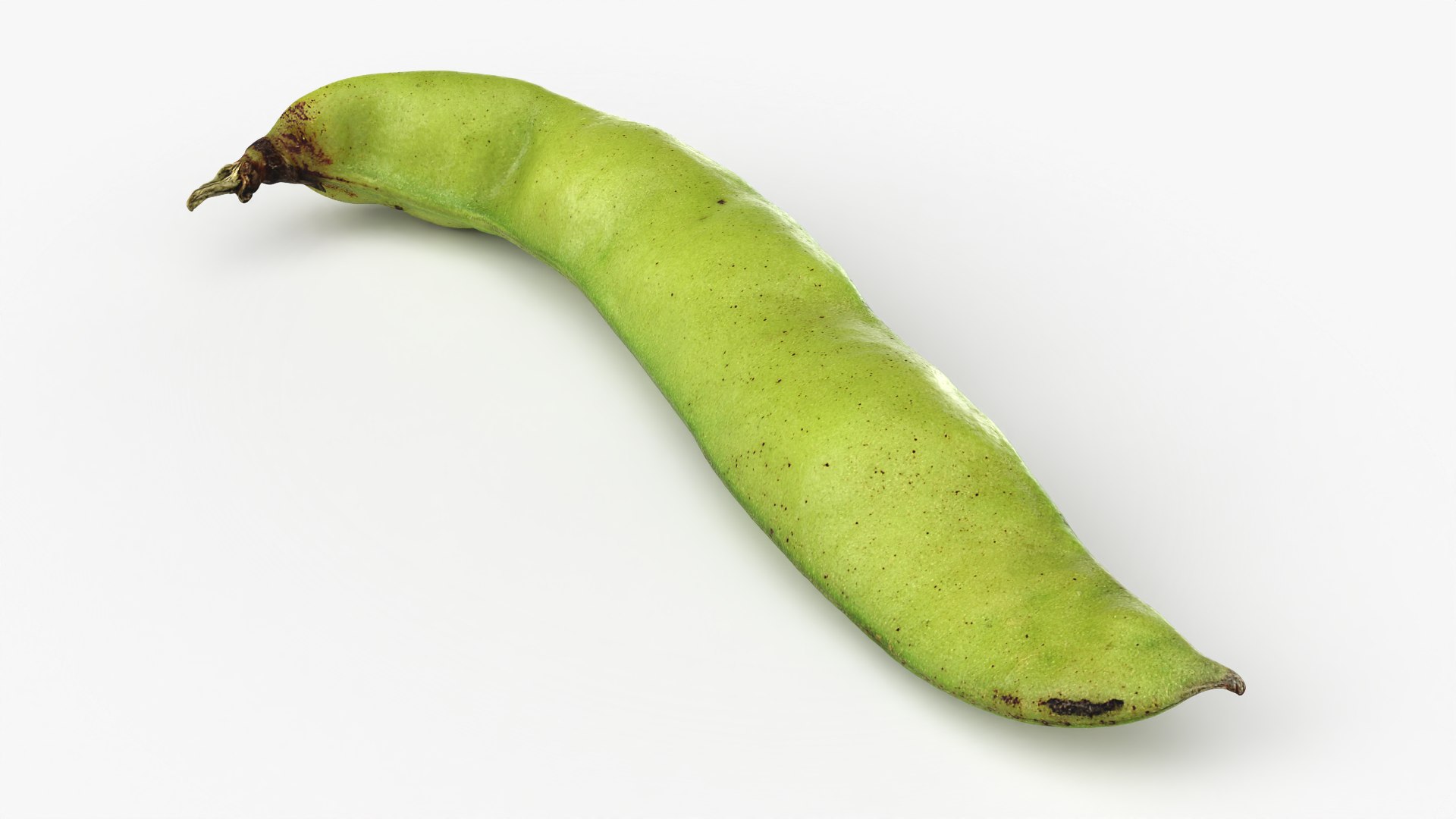 3D Broad Bean Pod 02 - 3D Scanned https://p.turbosquid.com/ts-thumb/yI/wL1OoU/Ou/broadbean02_0003/png/1781204761/1920x1080/fit_q87/2b10a1db901b4906a21ed10b8fe479b63d05d5fa/broadbean02_0003.jpg