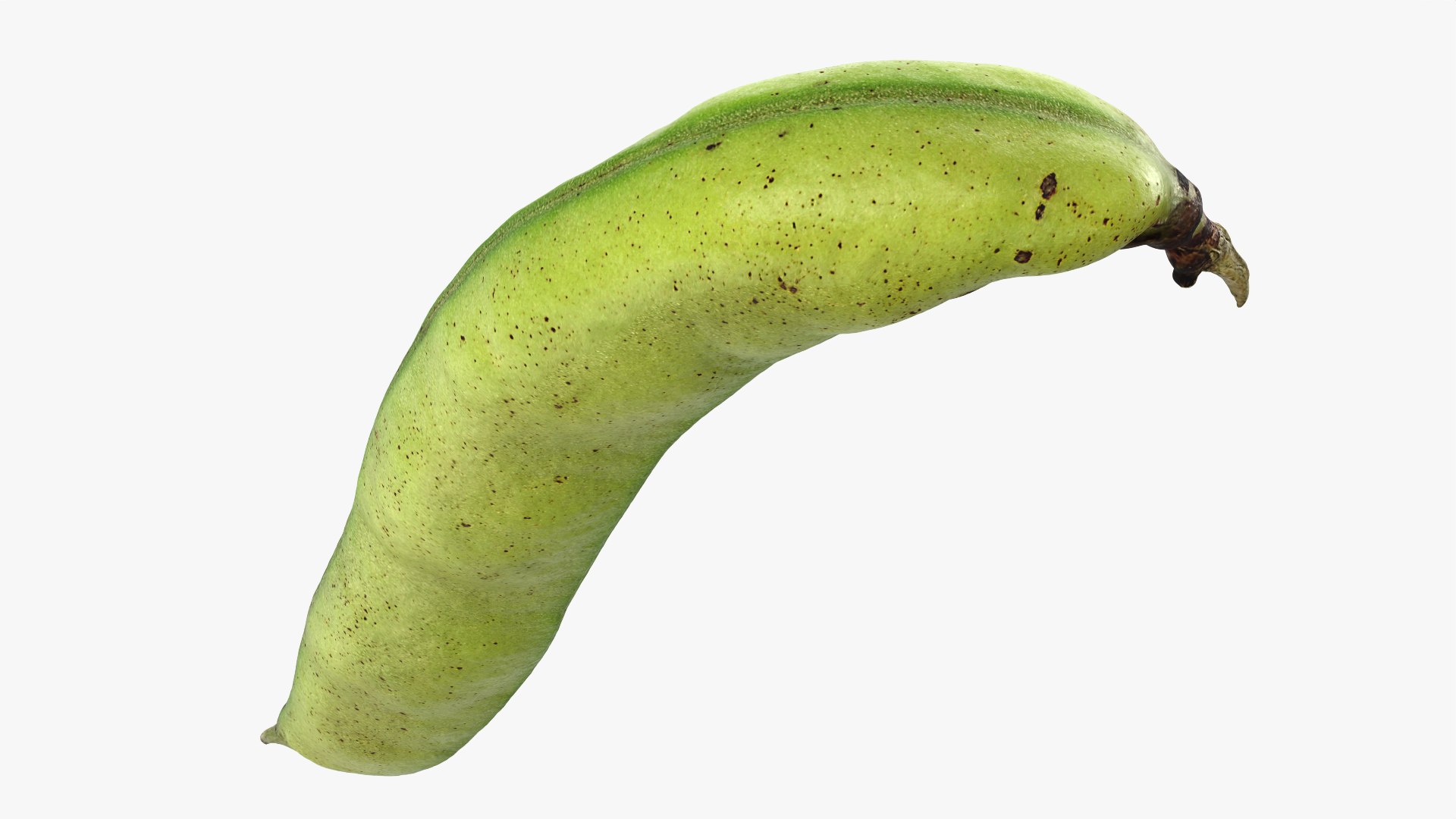 3D Broad Bean Pod 02 - 3D Scanned https://p.turbosquid.com/ts-thumb/yI/wL1OoU/RA/broadbean02_0009/png/1781204776/1920x1080/fit_q87/67f3e3433aa430555dc903fad36a73a9cfb58464/broadbean02_0009.jpg