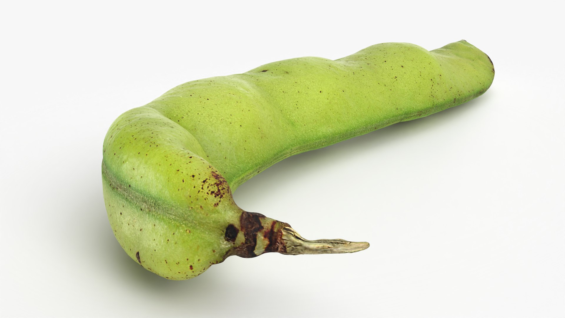 3D Broad Bean Pod 02 - 3D Scanned https://p.turbosquid.com/ts-thumb/yI/wL1OoU/Tu/broadbean02_0006/png/1781204775/1920x1080/fit_q87/e64d035d5edb26ae938cbb629512cfac0c740a60/broadbean02_0006.jpg