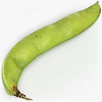 Broad Bean Pod 02 - 3D Scanned