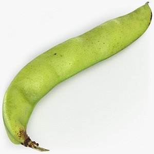 Broad Bean Pod 02 - 3D Scanned
