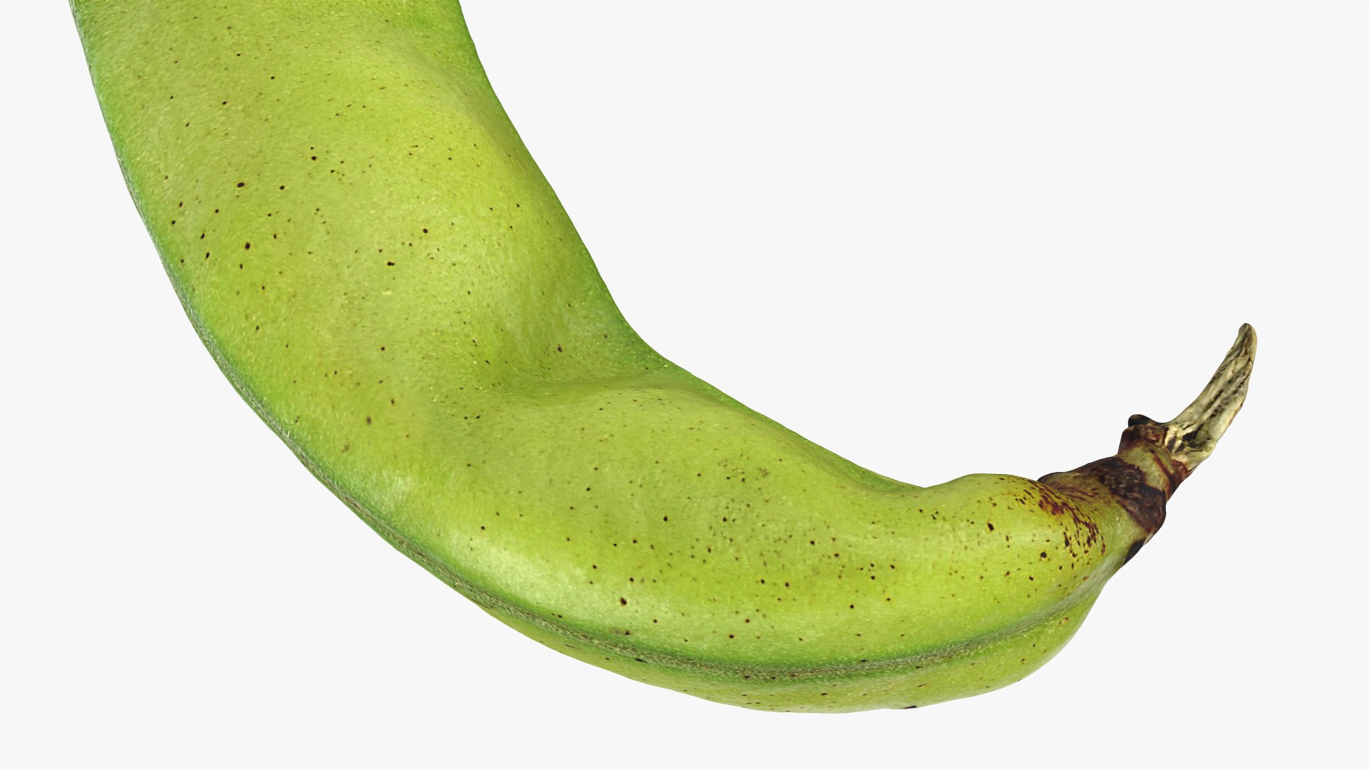 3D Broad Bean Pod 02 - 3D Scanned https://p.turbosquid.com/ts-thumb/yI/wL1OoU/ad/broadbean02_0011/png/1781204784/1920x1080/fit_q87/b3023b020b6bfb70882dae72d96cbb091bdc43fc/broadbean02_0011.jpg