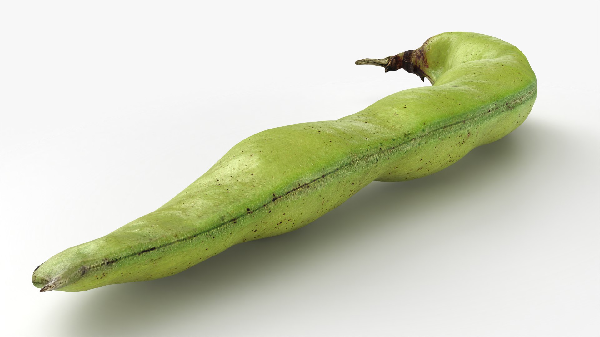 3D Broad Bean Pod 02 - 3D Scanned https://p.turbosquid.com/ts-thumb/yI/wL1OoU/rC/broadbean02_0007/png/1781204784/1920x1080/fit_q87/bad5248d8b689c6c4f4266606b33476a5396c012/broadbean02_0007.jpg