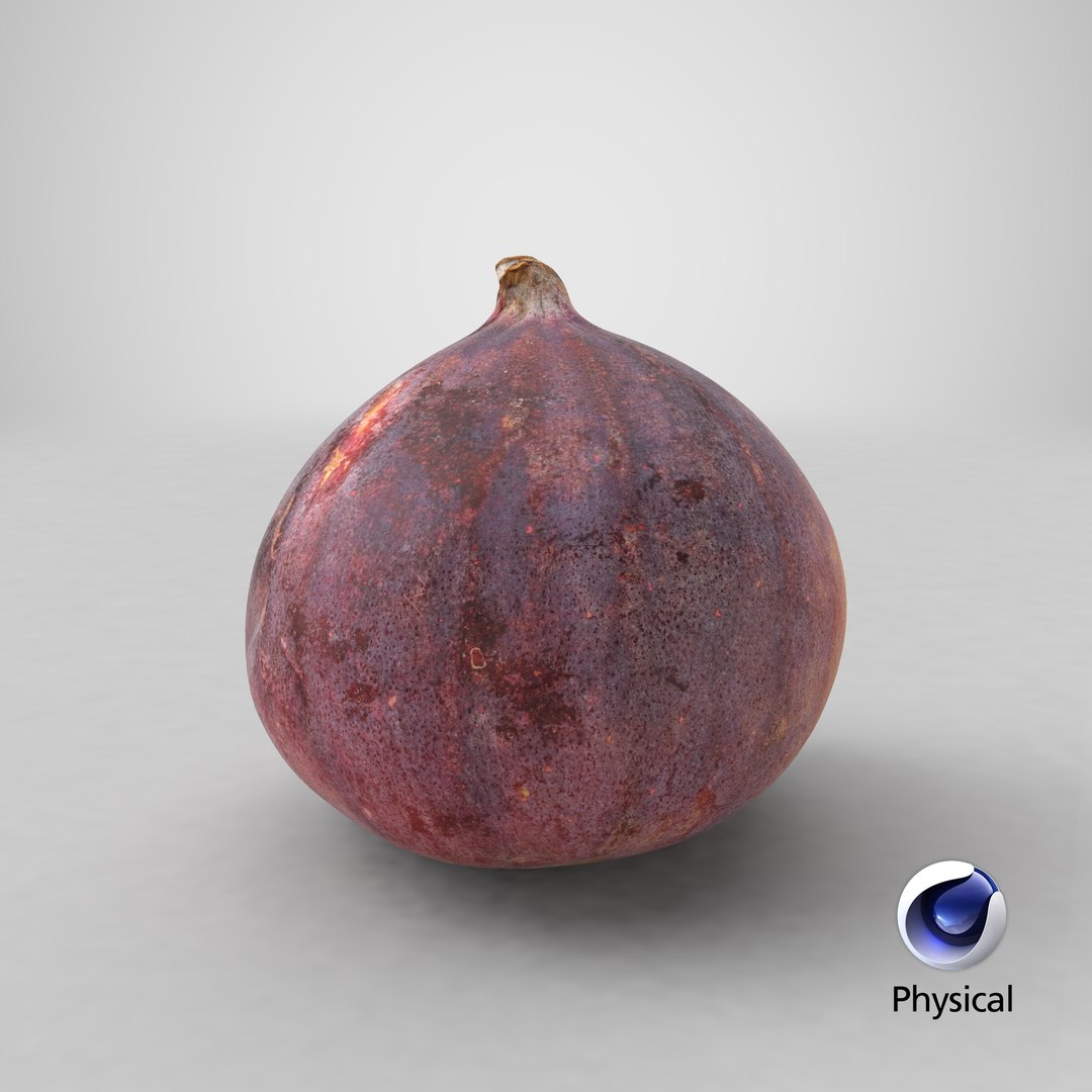 Common Fig 01 3D https://p.turbosquid.com/ts-thumb/yJ/4D0Gkl/9p/stemcell_cinema_4d_physical_render/png/1684408696/1920x1080/fit_q87/a562a614f4c4d642cbf6b9ee26315c1fe10f2779/stemcell_cinema_4d_physical_render.jpg