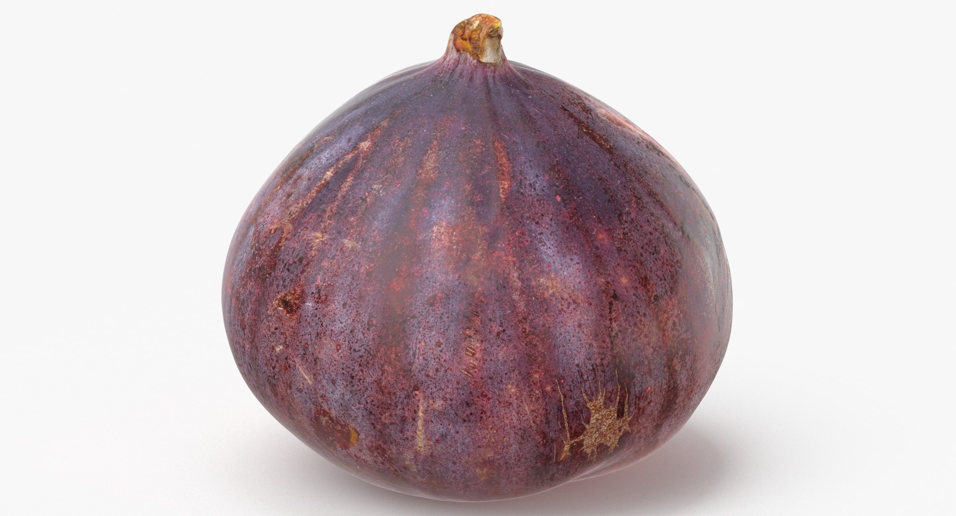 Common Fig 01 3D https://p.turbosquid.com/ts-thumb/yJ/4D0Gkl/v1/common_fig_01_thumbnail_0006/jpg/1681389540/1920x1080/fit_q87/c301a929de15be35717f9cffc1228820dd343d53/common_fig_01_thumbnail_0006.jpg