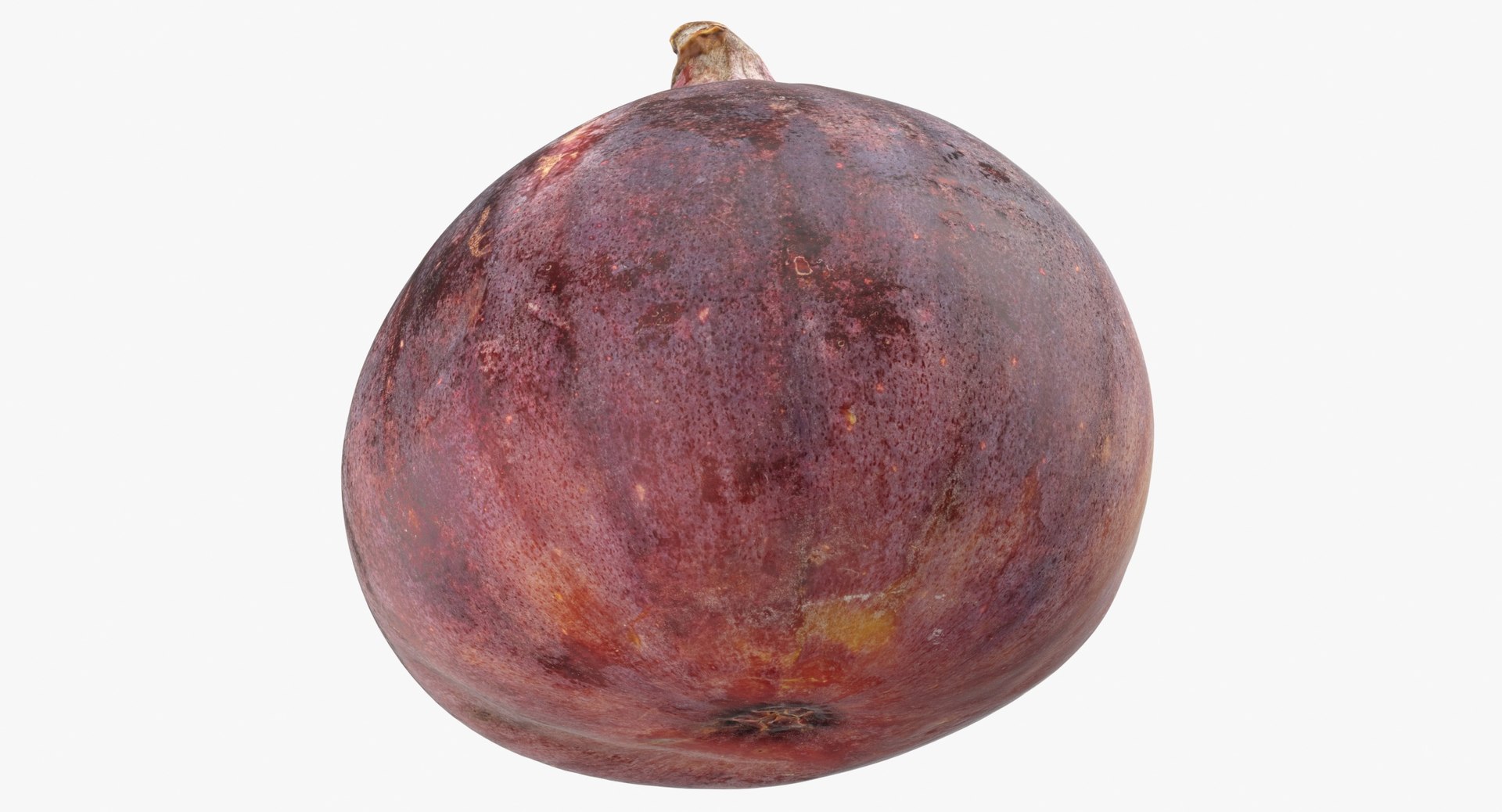 Common Fig 01 3D https://p.turbosquid.com/ts-thumb/yJ/4D0Gkl/wS/common_fig_01_thumbnail_0007/jpg/1681389544/1920x1080/fit_q87/b4f0105308989ad79cad48c3ba66c8ab32829568/common_fig_01_thumbnail_0007.jpg