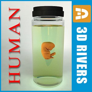 weeks human embryo max