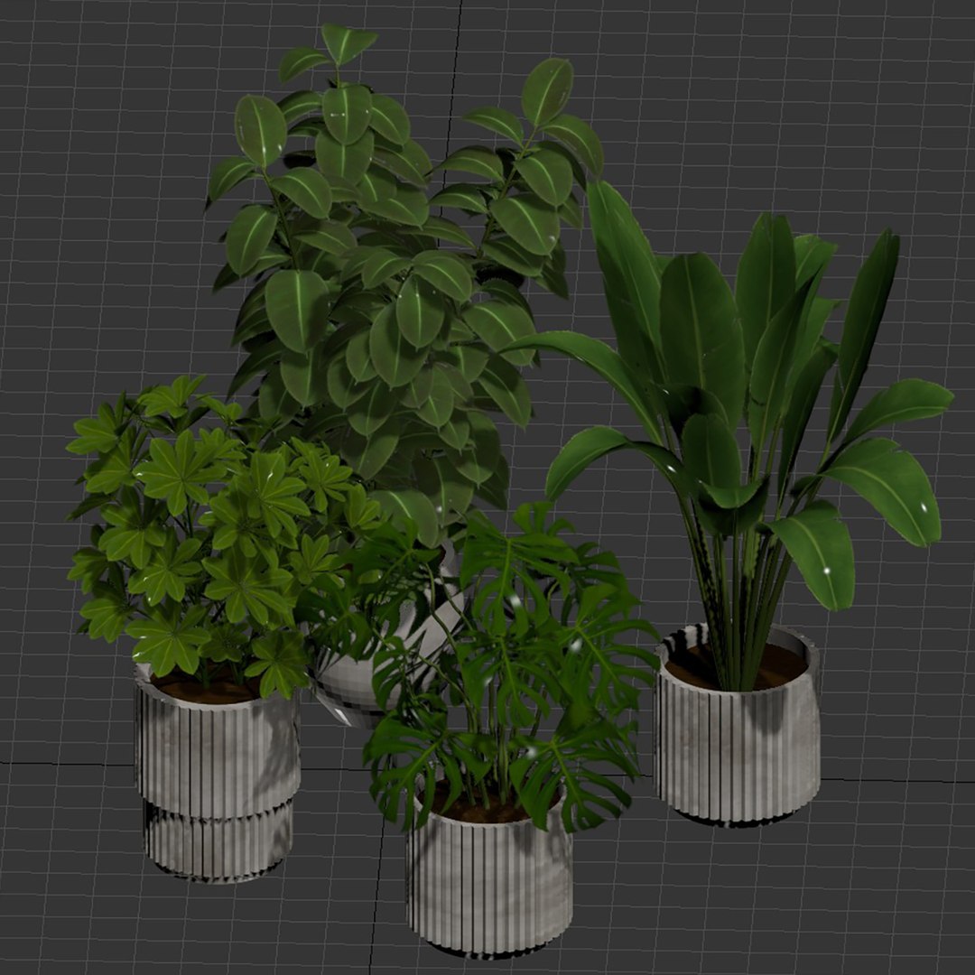 3D Indoor Plants in Pot V358 3D Plant Model https://p.turbosquid.com/ts-thumb/yJ/8zLUZW/HT/8/jpg/1784199307/1920x1080/fit_q87/241a0411d17906e1b5c186a9f7f56cace69bc485/8.jpg