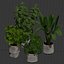 鉢植えの室内植物 V358 3D植物モデル
