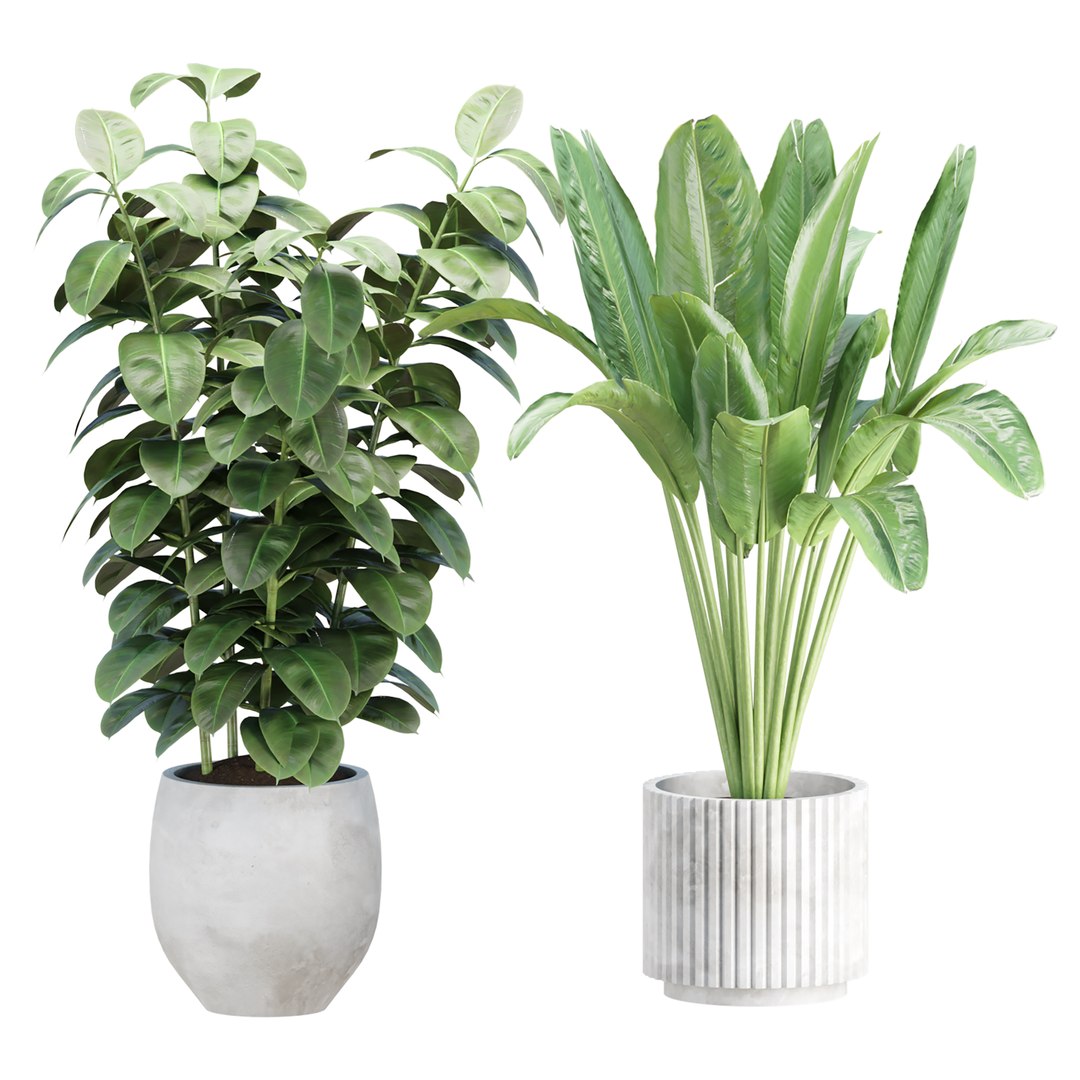 3D Indoor Plants in Pot V358 3D Plant Model https://p.turbosquid.com/ts-thumb/yJ/8zLUZW/cJ/2/jpg/1784199304/1920x1080/fit_q87/256073b1c4586d7c7bc5482634b42a2ffb0a2c02/2.jpg