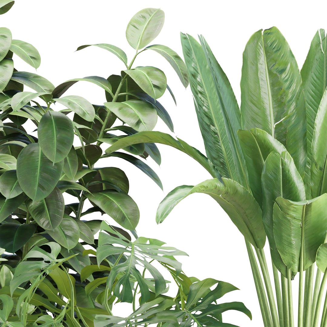 3D Indoor Plants in Pot V358 3D Plant Model https://p.turbosquid.com/ts-thumb/yJ/8zLUZW/d6/5/jpg/1784199306/1920x1080/fit_q87/62f0b1b954c69a770347bc3d093404f3363dc884/5.jpg