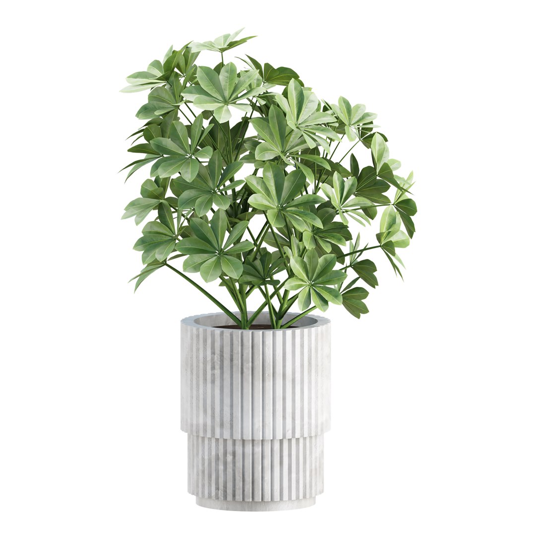 3D Indoor Plants in Pot V358 3D Plant Model https://p.turbosquid.com/ts-thumb/yJ/8zLUZW/kT/4/jpg/1784199305/1920x1080/fit_q87/691f96cd1336673794f052304cc370a25fe8da1c/4.jpg