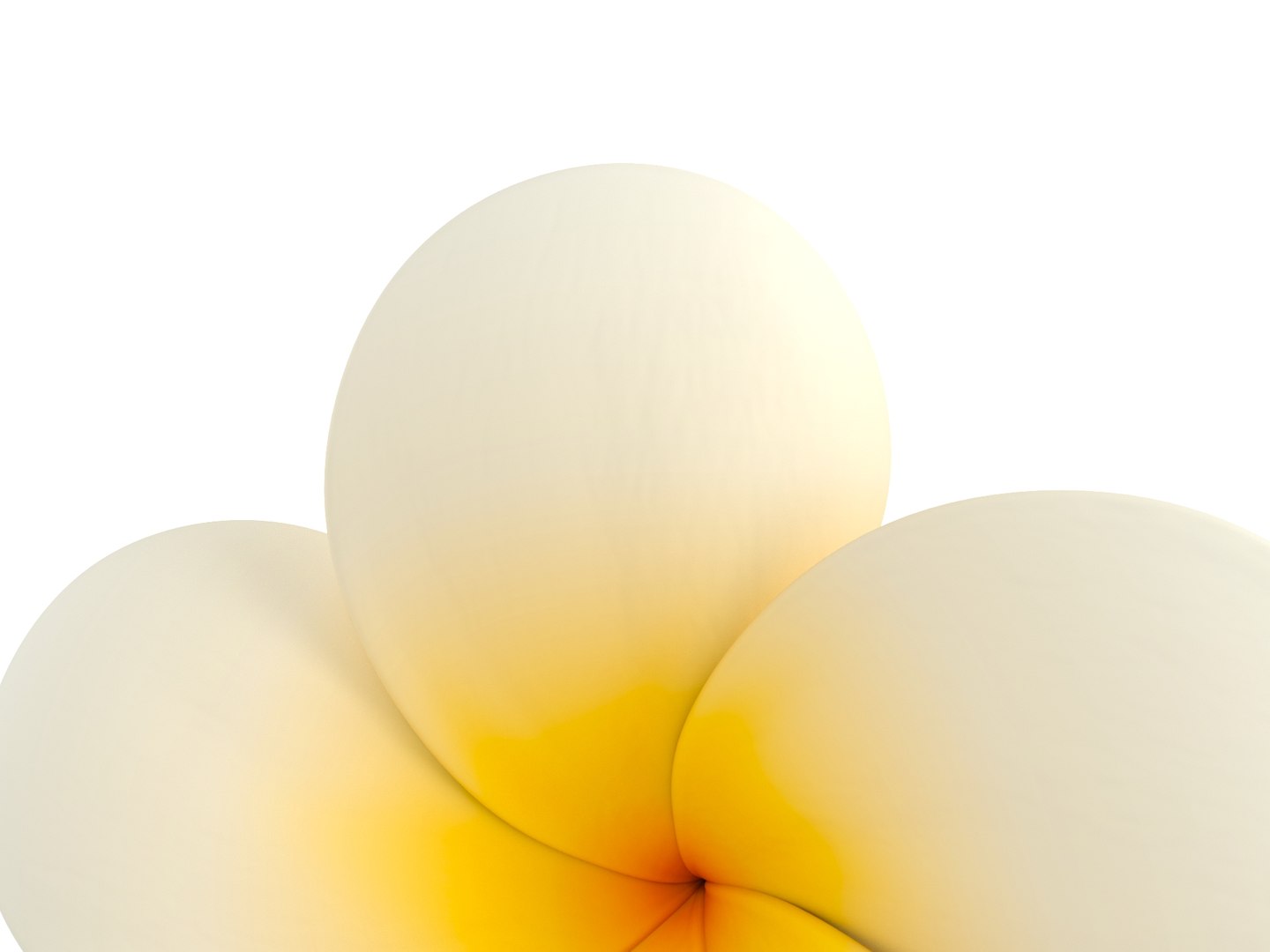 3D model plumeria flower https://p.turbosquid.com/ts-thumb/yJ/9a3DuL/Hk/rend_0008/jpg/1609914051/1920x1080/fit_q87/bda76ca9409a5b5101466350bc3604de24501e29/rend_0008.jpg