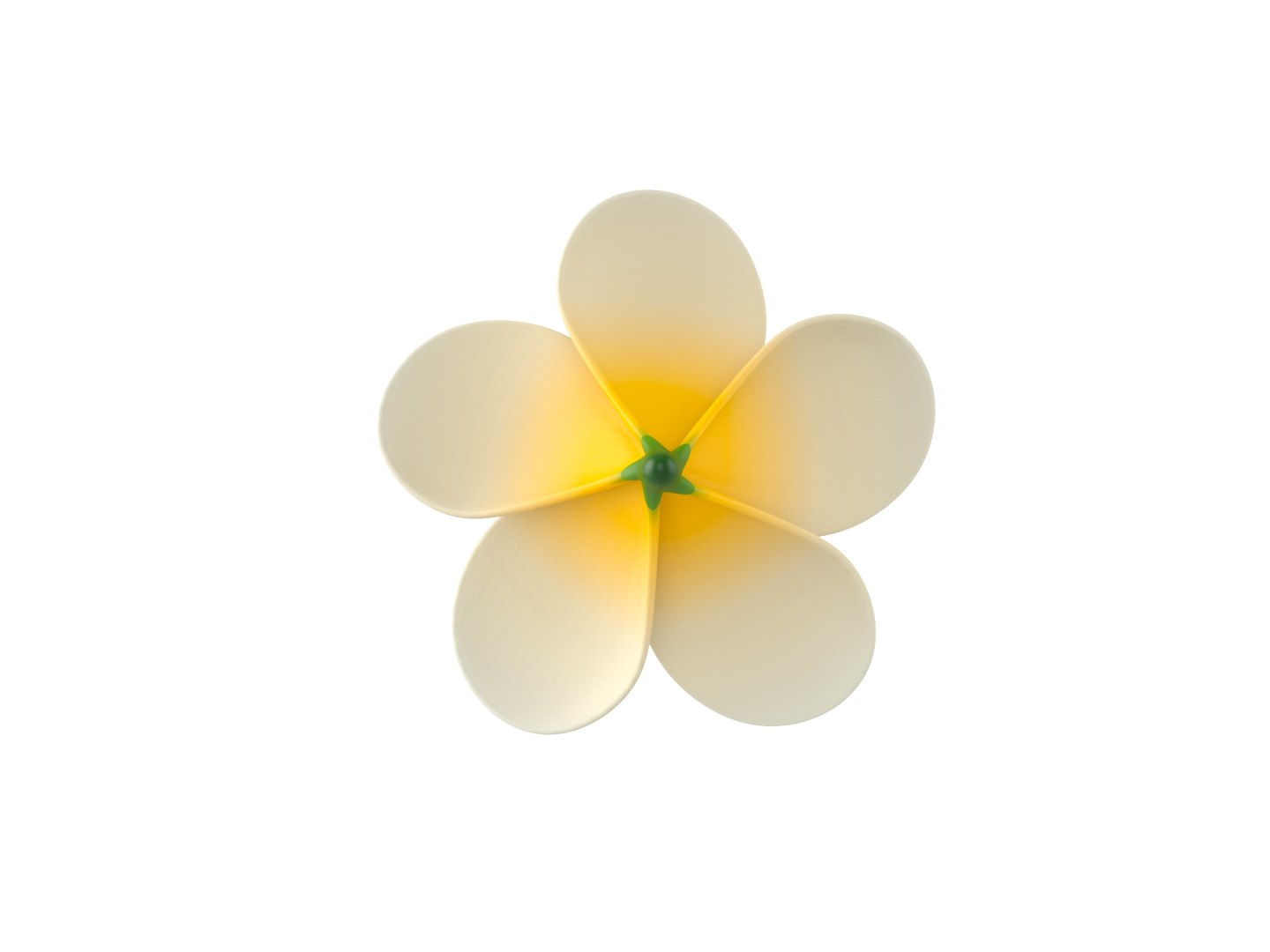 3D model plumeria flower https://p.turbosquid.com/ts-thumb/yJ/9a3DuL/I9/rend_0005/jpg/1609914048/1920x1080/fit_q87/c81e51cd628fdfe03ba317590b89508ae9edffa6/rend_0005.jpg