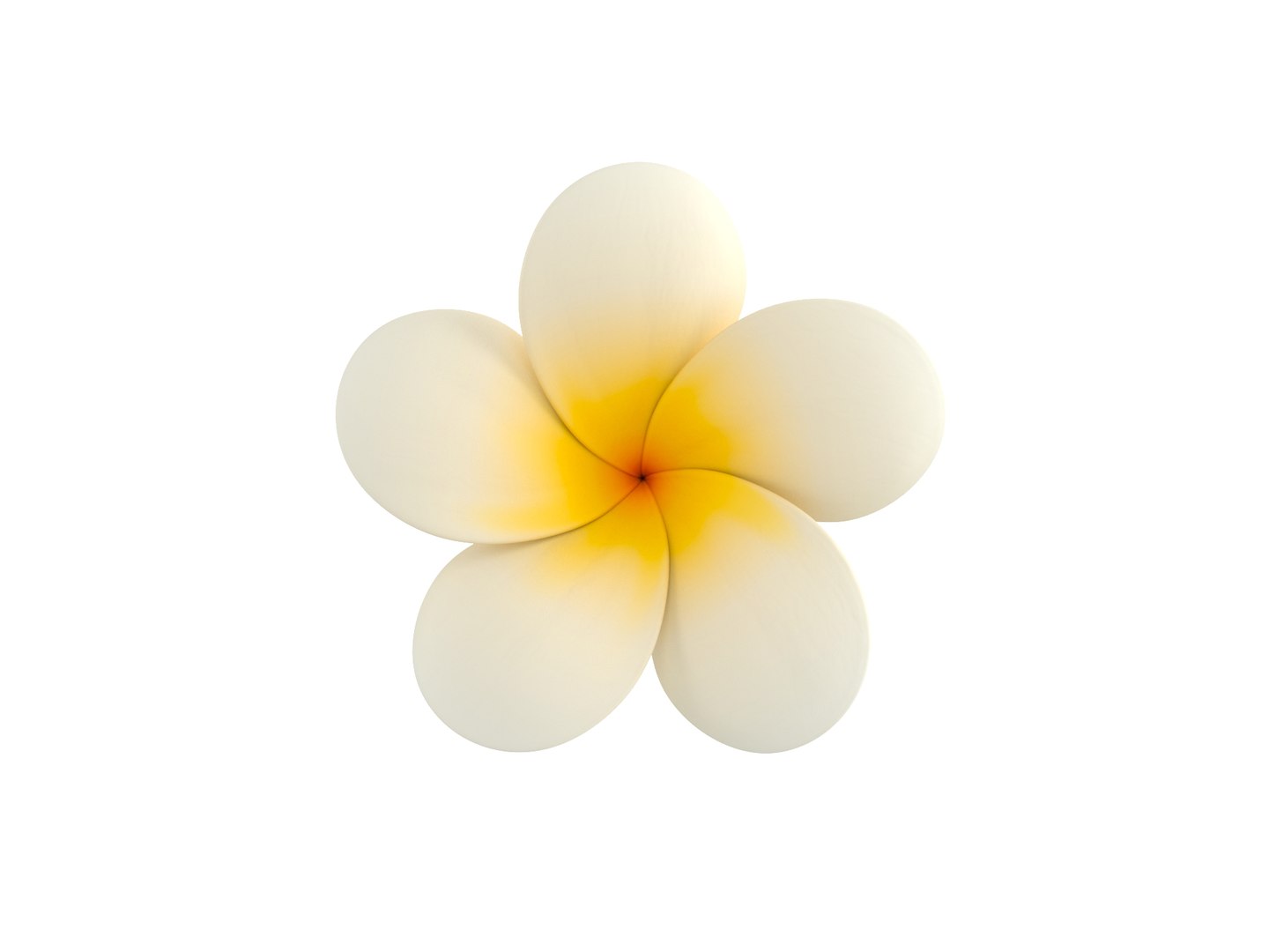 3D model plumeria flower https://p.turbosquid.com/ts-thumb/yJ/9a3DuL/Jb/rend_0001/jpg/1609914044/1920x1080/fit_q87/6741a0554dfc24695b4a178ee1aee942783730bf/rend_0001.jpg