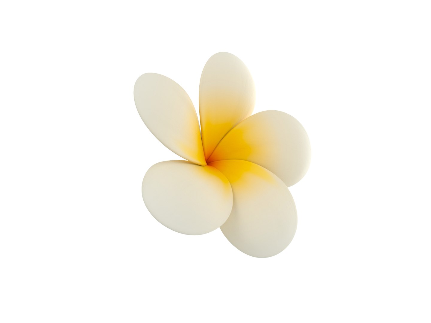 3D model plumeria flower https://p.turbosquid.com/ts-thumb/yJ/9a3DuL/Yq/rend_0002/jpg/1609914045/1920x1080/fit_q87/f98cc9af7389c989579bb946ba24fb0e83ba83fd/rend_0002.jpg