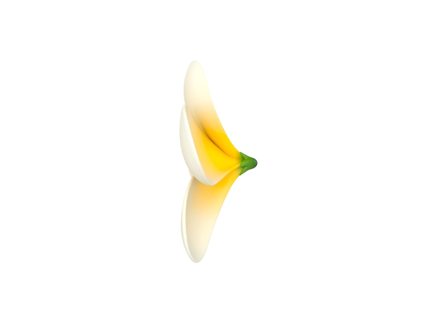 3D model plumeria flower https://p.turbosquid.com/ts-thumb/yJ/9a3DuL/gC/rend_0007/jpg/1609914050/1920x1080/fit_q87/0a76ef2bfe7e08b8f107beb9b00a7e1695732aa0/rend_0007.jpg