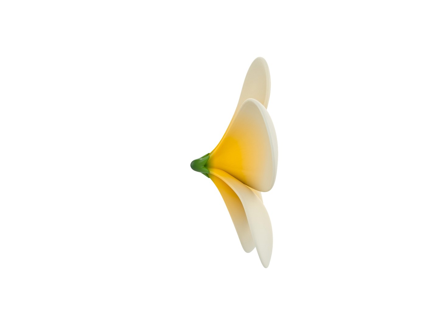 3D model plumeria flower https://p.turbosquid.com/ts-thumb/yJ/9a3DuL/qH/rend_0003/jpg/1609914046/1920x1080/fit_q87/72334b9ef66e461f6a7f051c101d2e83b38f98be/rend_0003.jpg