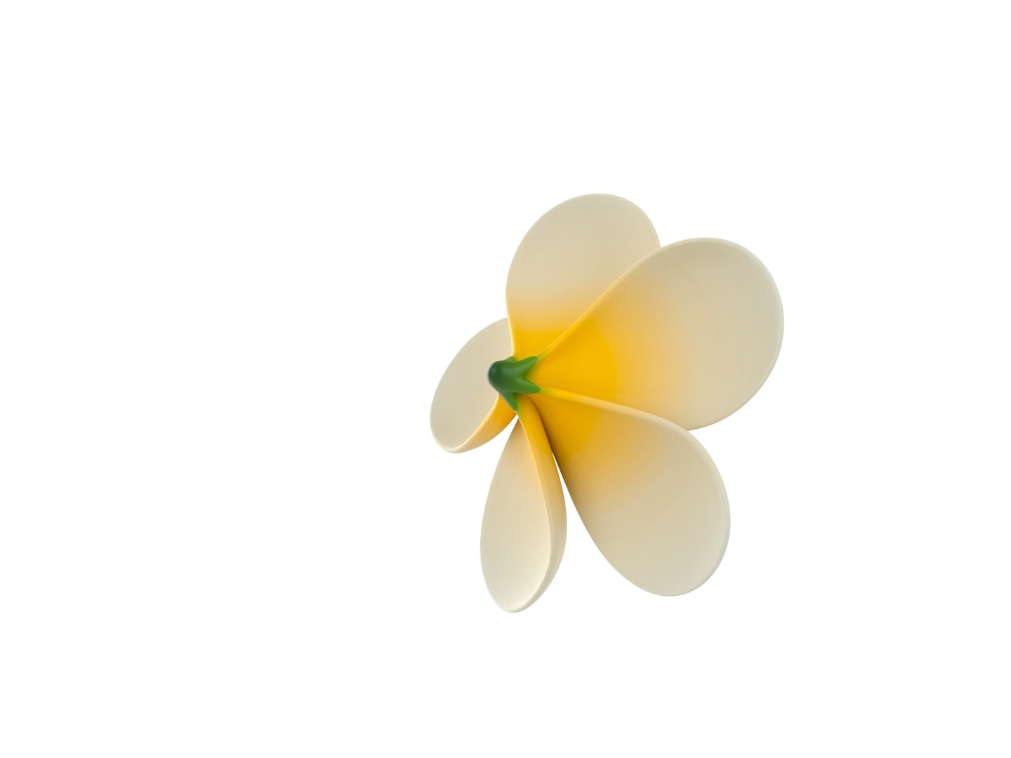 3D model plumeria flower https://p.turbosquid.com/ts-thumb/yJ/9a3DuL/rS/rend_0004/jpg/1609914047/1920x1080/fit_q87/821b44e0b1498565df46a93d1b84bd328054804b/rend_0004.jpg