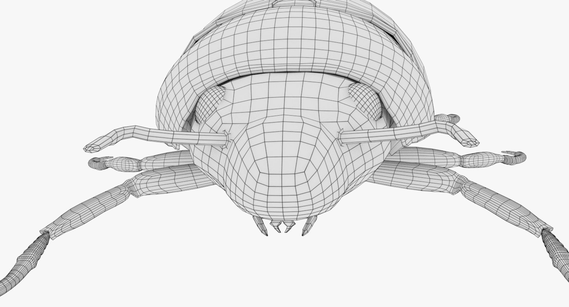 3D scarab beetle model - TurboSquid 1288078
