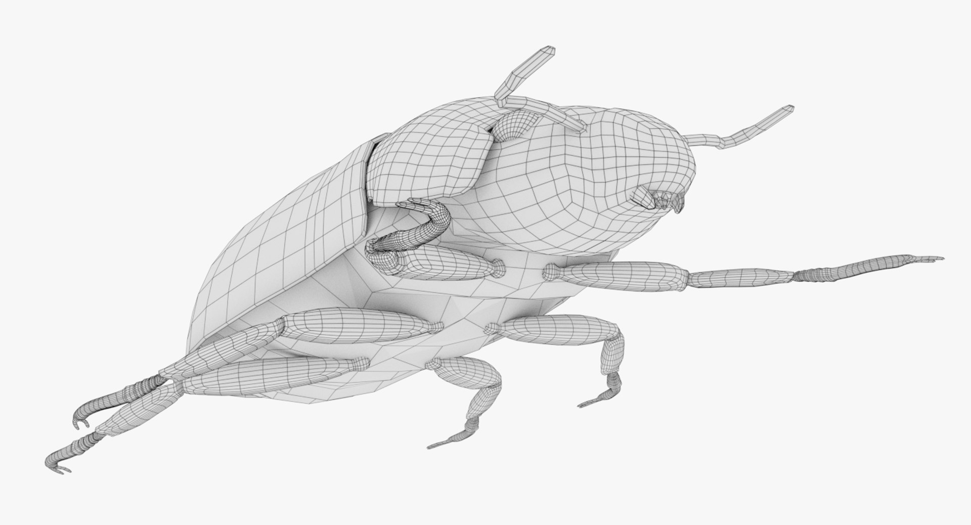 3D scarab beetle model - TurboSquid 1288078