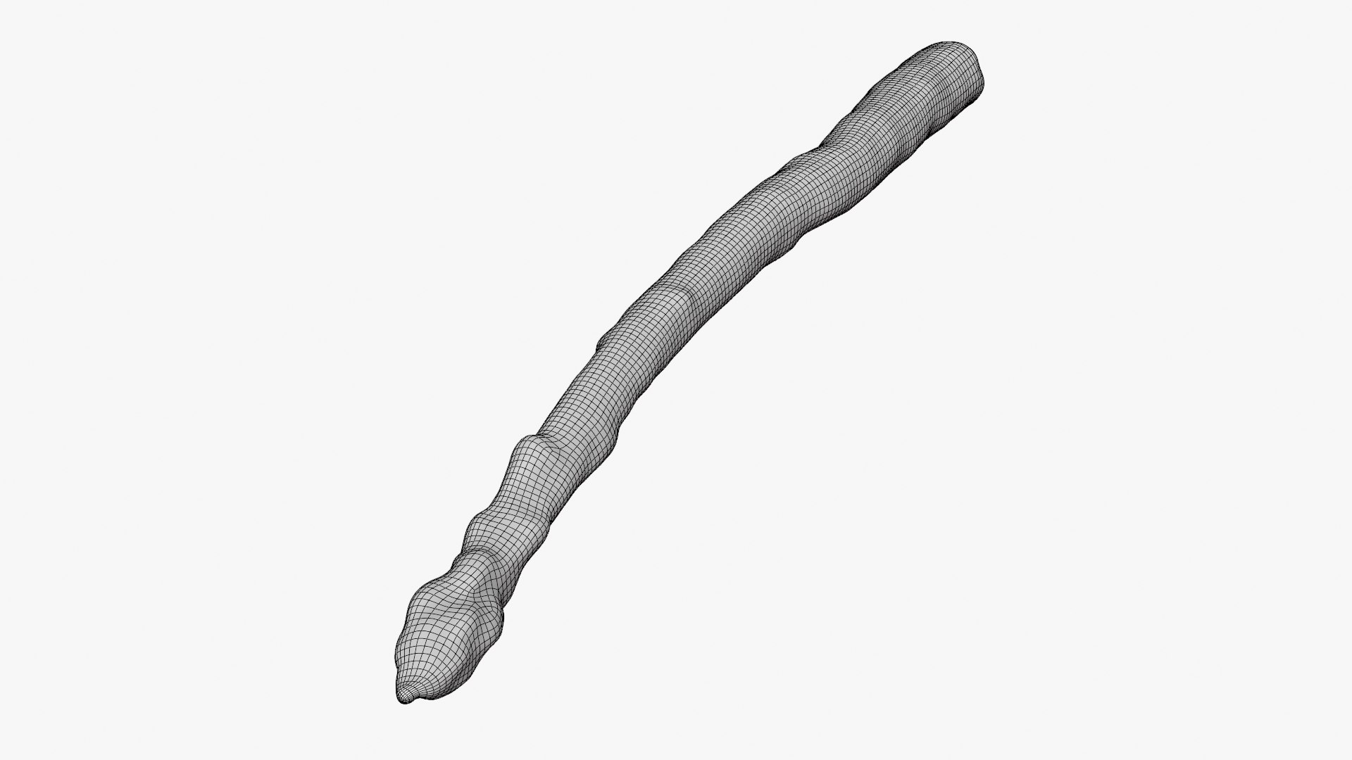 Asparagus 02 model https://p.turbosquid.com/ts-thumb/yJ/djhQ6c/Bz/asparagus02_d0005/png/1759742149/1920x1080/fit_q87/e0b3445119a2d63cb512d8904885ae4acd9527a2/asparagus02_d0005.jpg