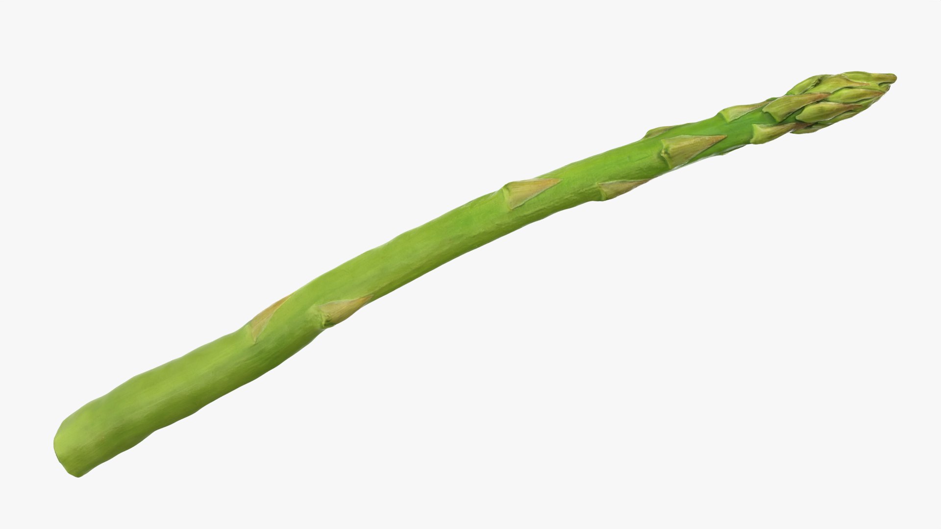 Asparagus 02 model https://p.turbosquid.com/ts-thumb/yJ/djhQ6c/J8/asparagus02_0003/png/1759742136/1920x1080/fit_q87/439cac3ec660fb5171849bce6bf2fa4994bf858d/asparagus02_0003.jpg