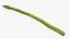 Asparagi 02