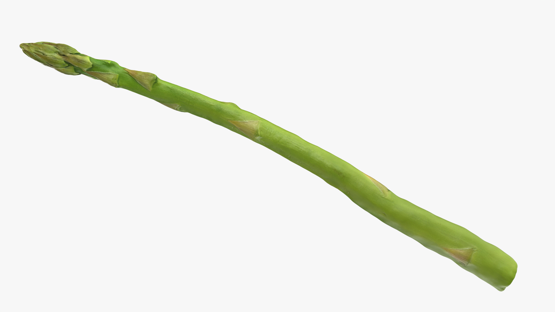 Asparagus 02 model https://p.turbosquid.com/ts-thumb/yJ/djhQ6c/ad/asparagus02/png/1759742152/1920x1080/turn_fit_q99/7627056f8fefd4ac1a0111dd7911ee133a3a4e4a/asparagus02-1.jpg