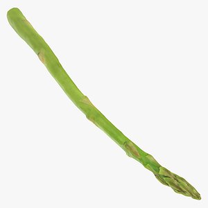 Asparagus 02