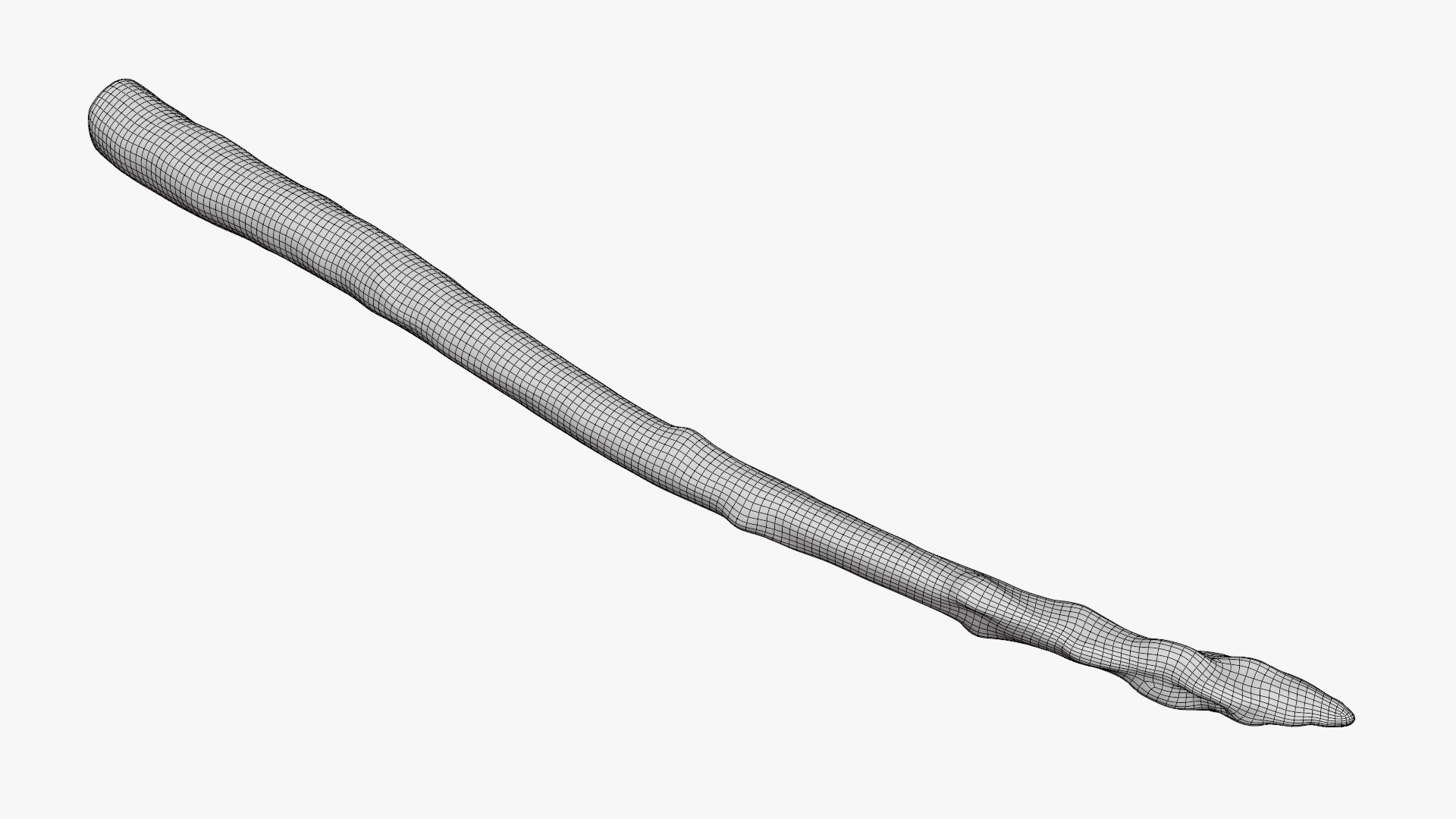 Asparagus 02 model https://p.turbosquid.com/ts-thumb/yJ/djhQ6c/uY/asparagus02_d0002/png/1759742147/1920x1080/fit_q87/53f8ef3f11e0b1a7ce46b71bb7ec58f84d997512/asparagus02_d0002.jpg